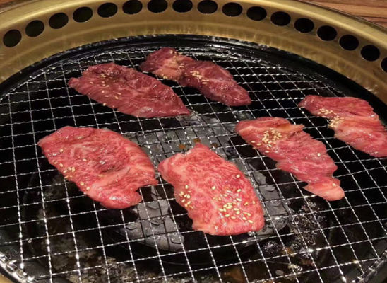 Carne pieghevole del barbecue del barbecue di acciaio inossidabile che griglia canestro per il partito di campeggio all'aperto