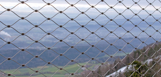 Rete anti-caduta di rete di rete di rete di filo in acciaio inossidabile