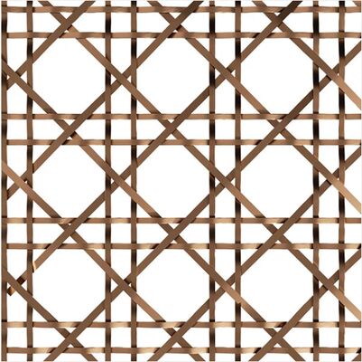 Pannello in rete decorativa per esterni di edifici in colore personalizzato Rete architettonica anodizzata