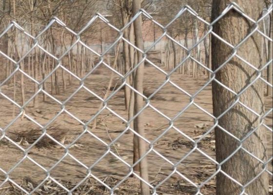 4.8mm Galvanizzato Chain Link Fence 50m Roll Diamond Hole Mesh