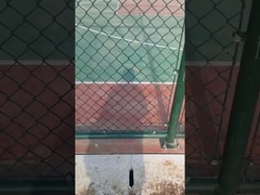 Recinzione a legame a catena con rivestimento VC / Recinzioni a maglia di diamanti in acciaio galvanizzato / Recinzioni a maglia di ciclone / Tenni