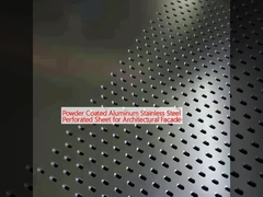 Foglio perforato in acciaio inossidabile in alluminio rivestito in polvere per facciata architettonica