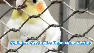 Come scegliere la rete di corda con puntale in acciaio inossidabile adatta?