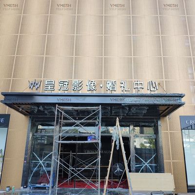 Foglio perforato in acciaio inossidabile in alluminio rivestito in polvere per facciata architettonica