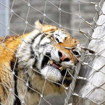 Recinzione in rete metallica per zoo in acciaio inossidabile, rete in fune metallica ad alta resistenza