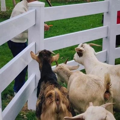 2 rotaie di plastica cavallo di campo recinzione recinzione di sicurezza equina paddock recinzione di plastica