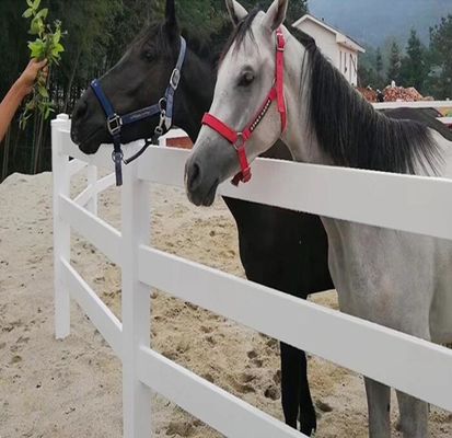 Fence di ferro da stalla in PVC facile da assemblare