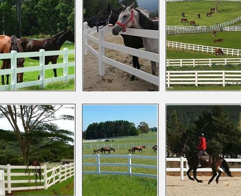 2 rotaie di plastica cavallo di campo recinzione recinzione di sicurezza equina paddock recinzione di plastica