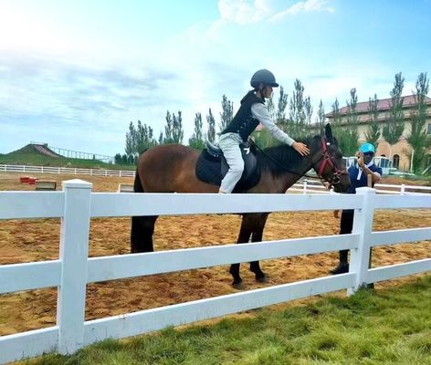 Recinzione agricola in PVC 3 binari Paddock per cavalli