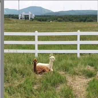 3 binari 1,8*2,5m recinzione agricola in PVC recinzione in plastica in vinile ranch paddock cavallo