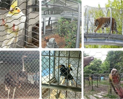 Rete metallica per cavi in acciaio inossidabile 304 con ossidazione nera per voliera dello zoo