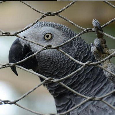 Rete di filo di acciaio inossidabile tessuta a mano anti caduta