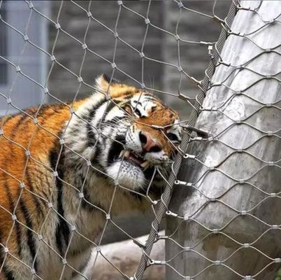 Leggerezza Alta resistenza 304 316 Acciaio inossidabile rete di filo di corda per recinzione zoo