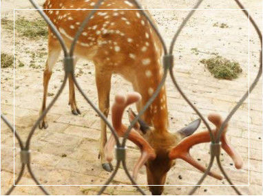 Griglia di corda in acciaio inossidabile flessibile tessuta a mano con dimensioni di confine personalizzabili per balaustrade e recinti zoologici