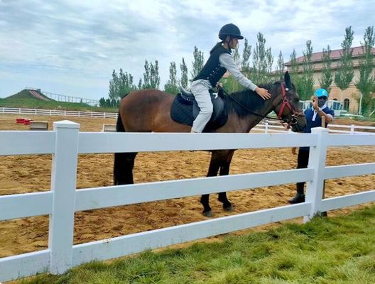 Cavallo amichevole del PVC di Eco che recinta colore bianco 5ft da 8ft 4 rotaie