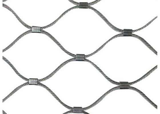 Acciaio inossidabile Mesh Ferruled Type tessuto cavo metallico di Inox dello zoo 316