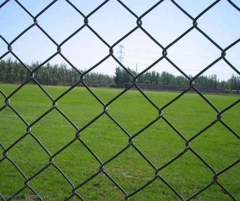 3mm recinto Pvc Coated Green 6x50 del collegamento a catena di 12 calibri